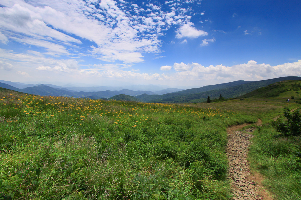 Descending Jane Bald - Carvers Gap