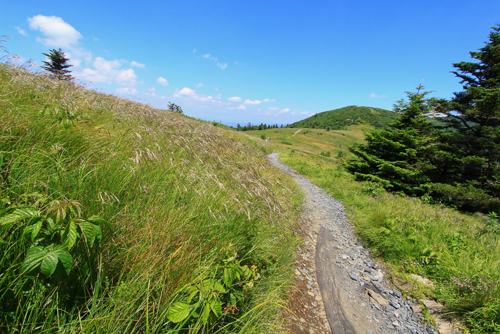 Climbing back out of Engine Gap to Round Bald - Carvers Gap
