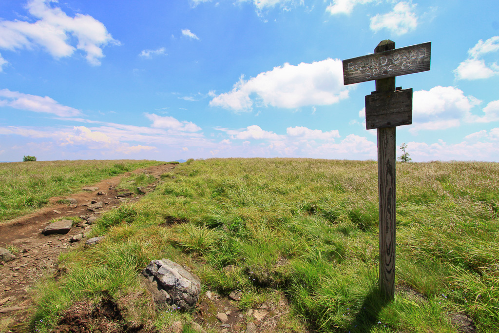 Round Bald once again - Carvers Gap