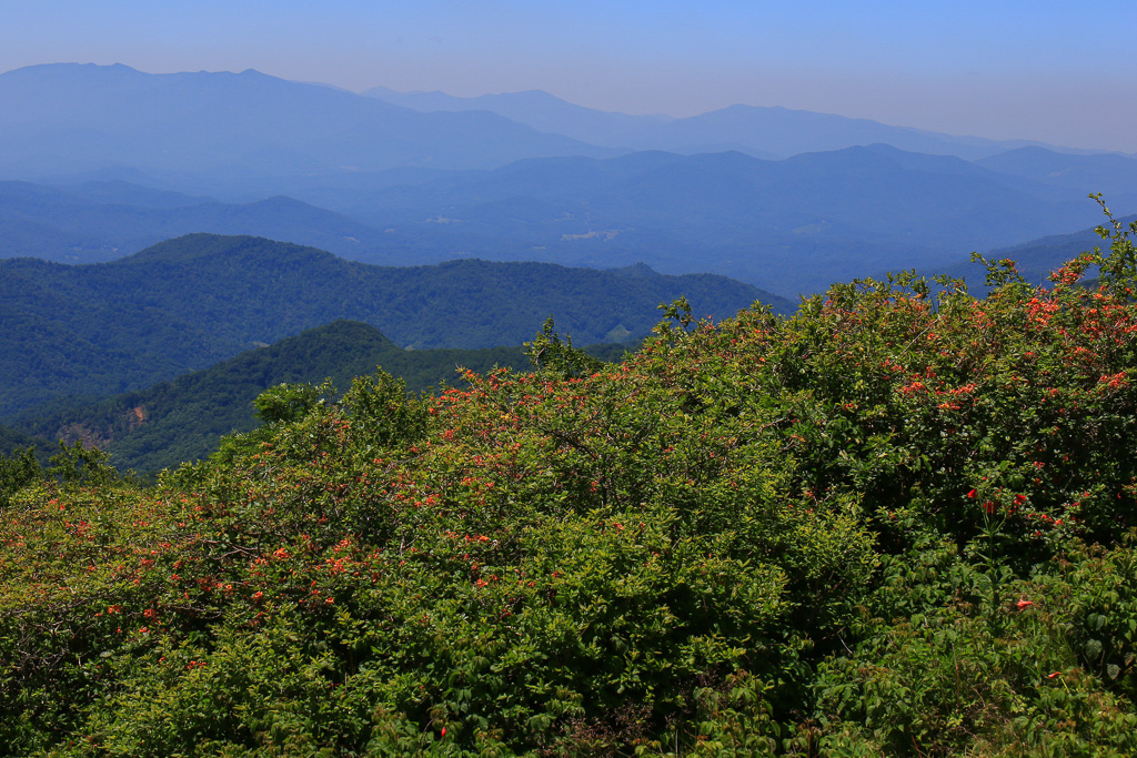 Appalacian scenery - Carvers Gap