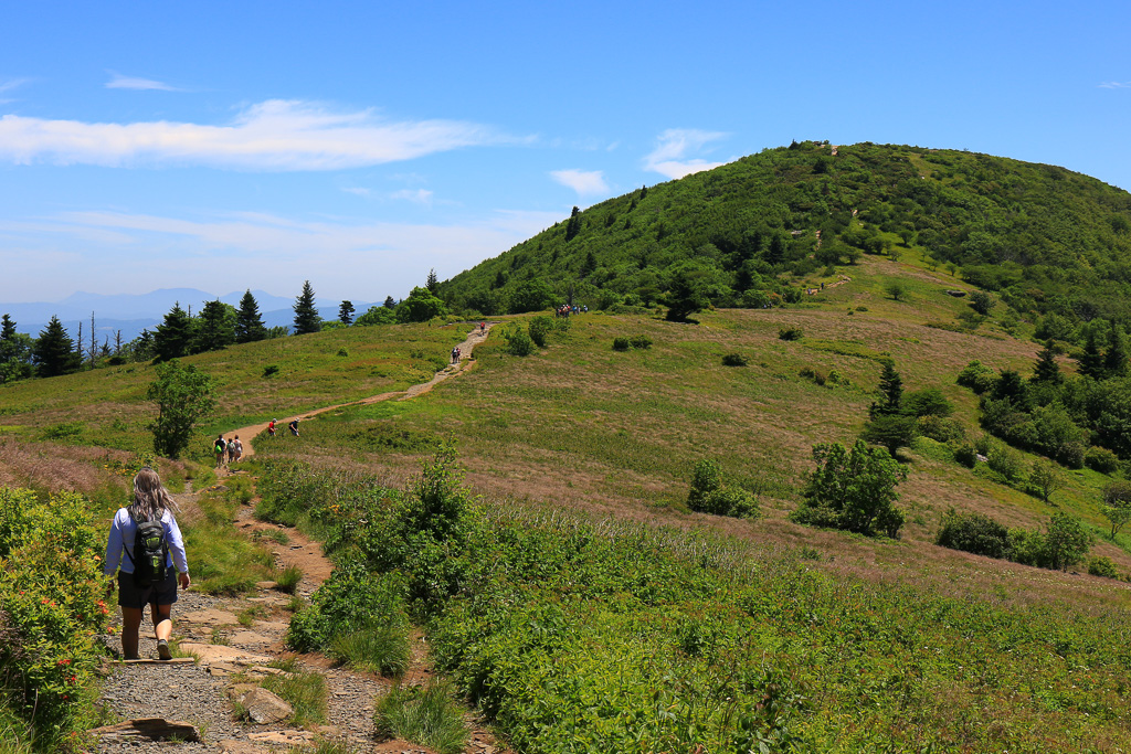 Sook hiking toward Engine Gap - Carvers Gap