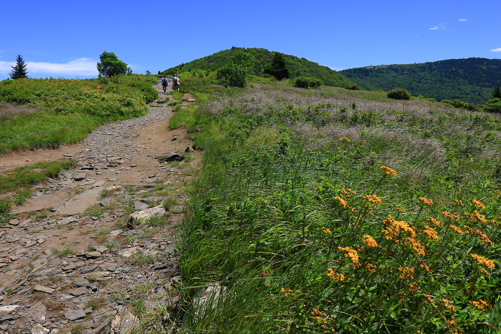 The Crew climbing - Carvers Gap