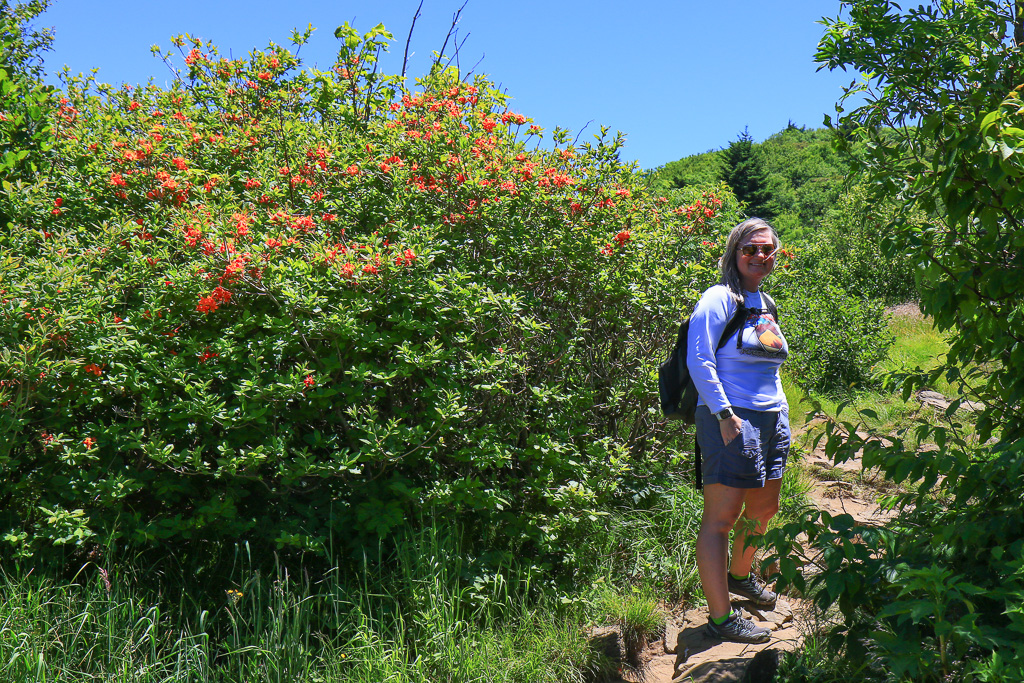 Sook amid the azaleas - Carvers Gap