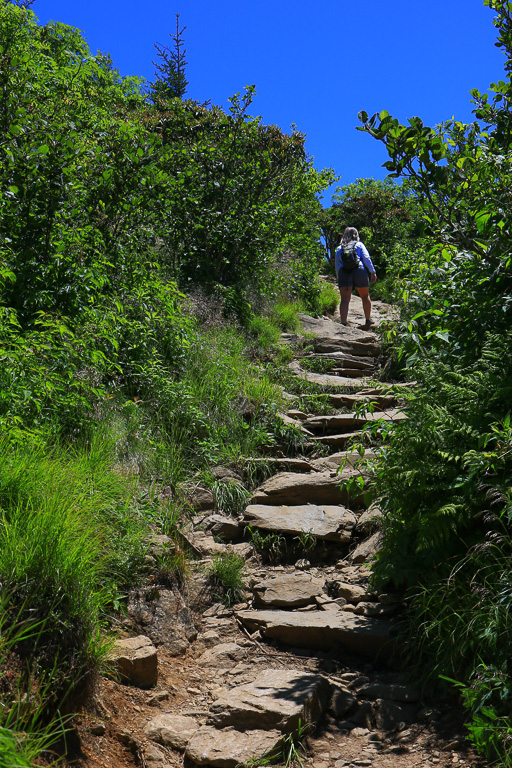 Sook climbing - Carvers Gap