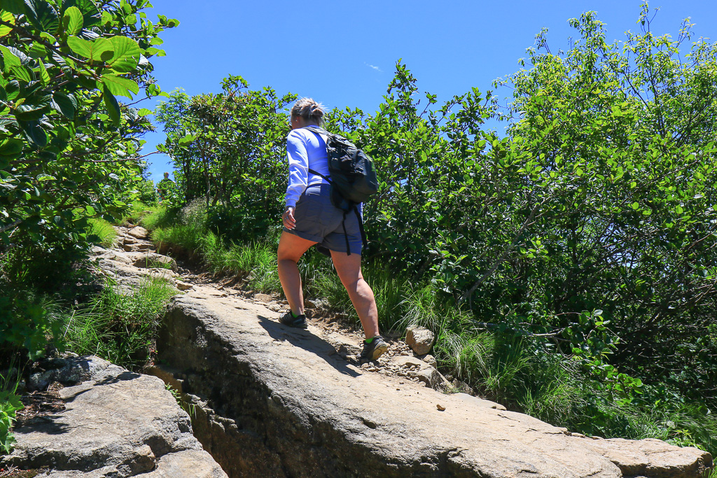 Sook climbing a rock slab - Carvers Gap