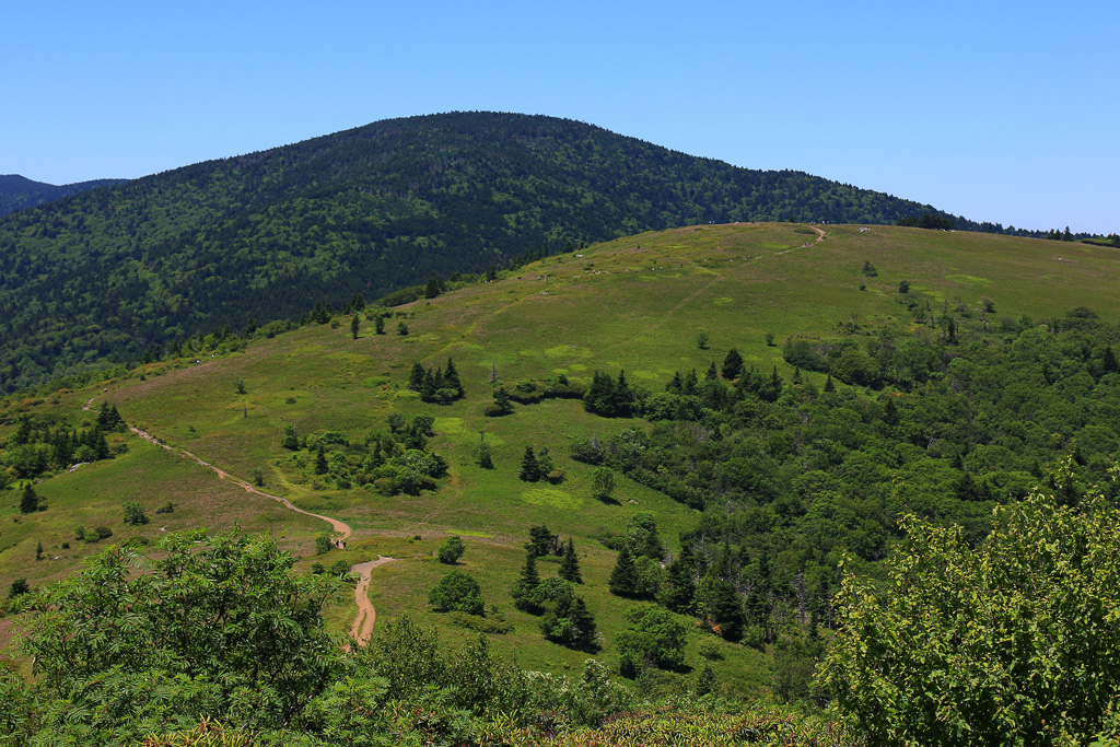 Meandering trail - Carvers Gap