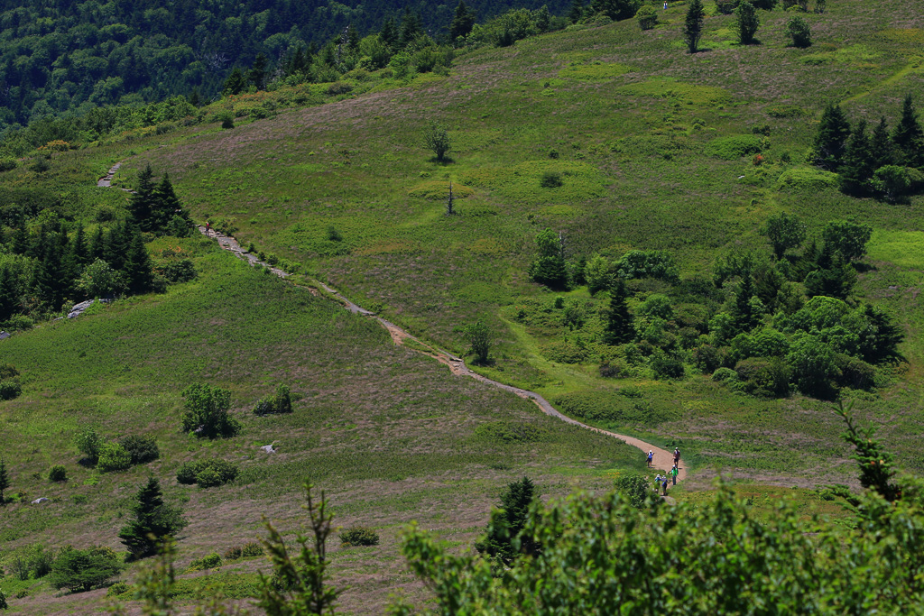Heading back to the trailhead - Carvers Gap