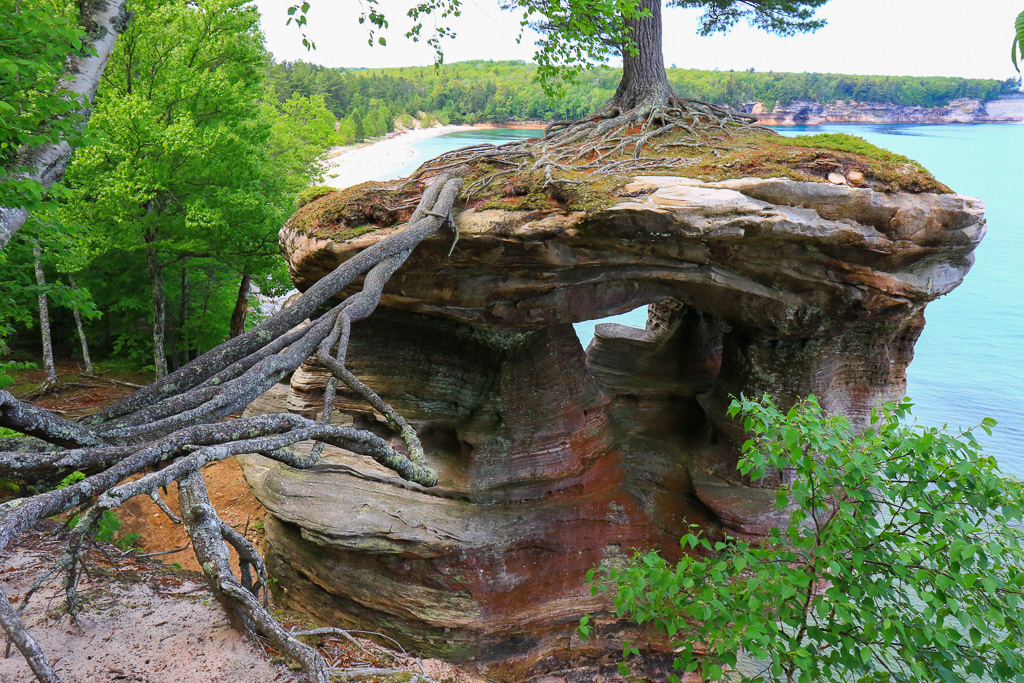 Chapel Rock and its suspended roots - Chapel Loop
