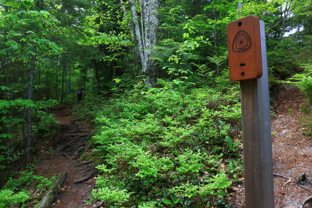 Lakeshore Trail is part of the North Country Trail - Chapel Loop