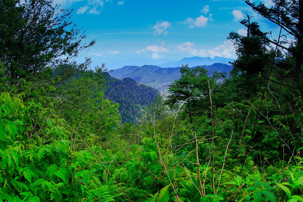 View from Icewater Shelter - Charlies Bunion