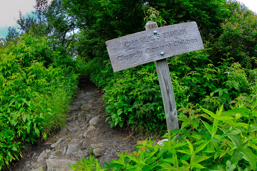 Spur trail to the Bunion - Charlies Bunion