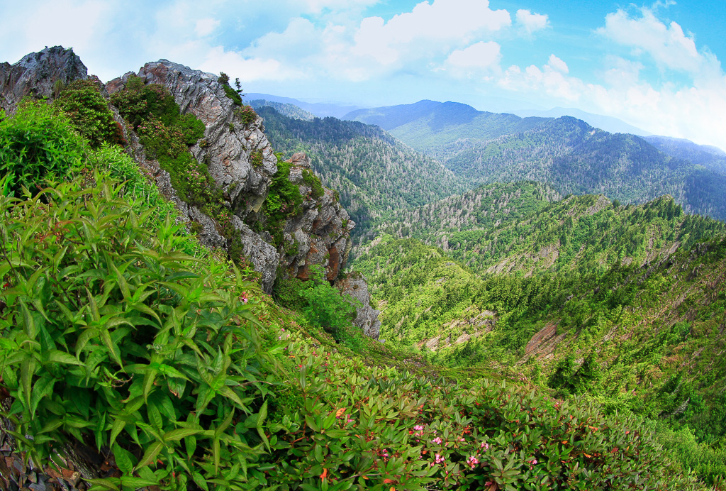 Smoky Mountain vista - Charlies Bunion