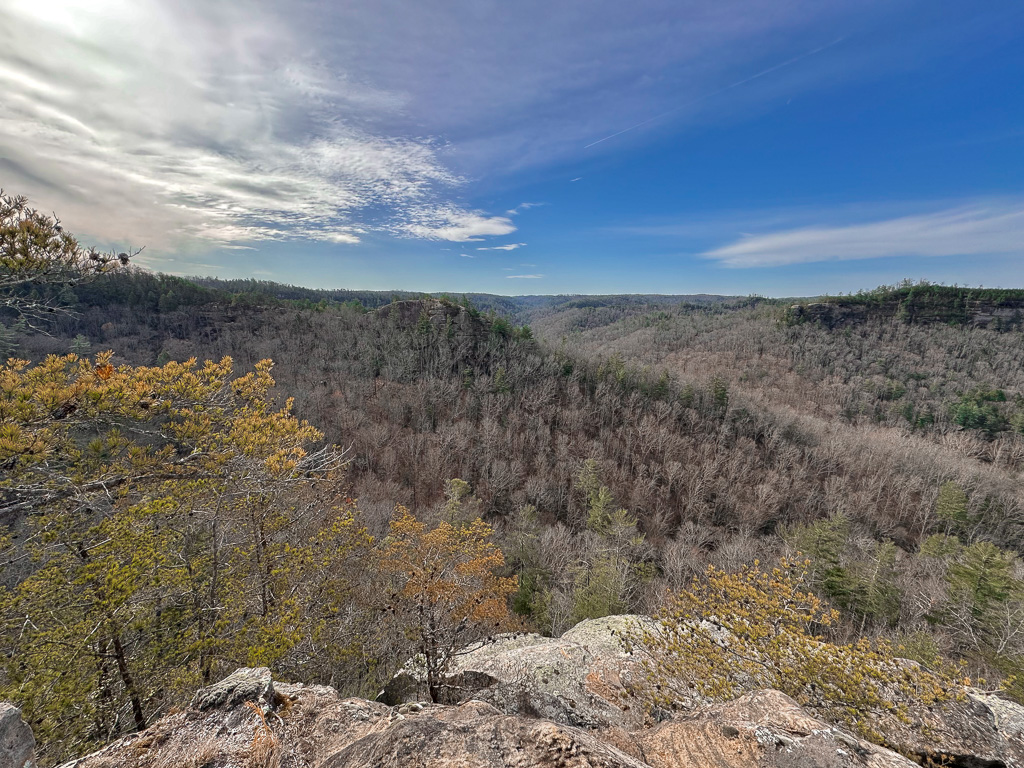 Half Moon Rock and the Chimney Top Creek Drainage  - Chimney Top Rock Overlook