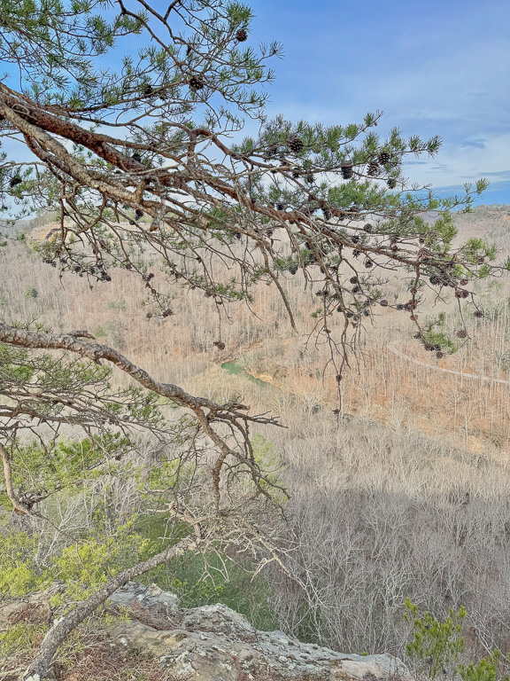 Red River Gorge - Chimney Top Rock Overlook