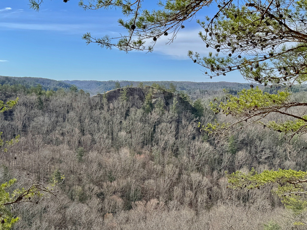 Half Moon Rock - Chimney Top Rock Overlook