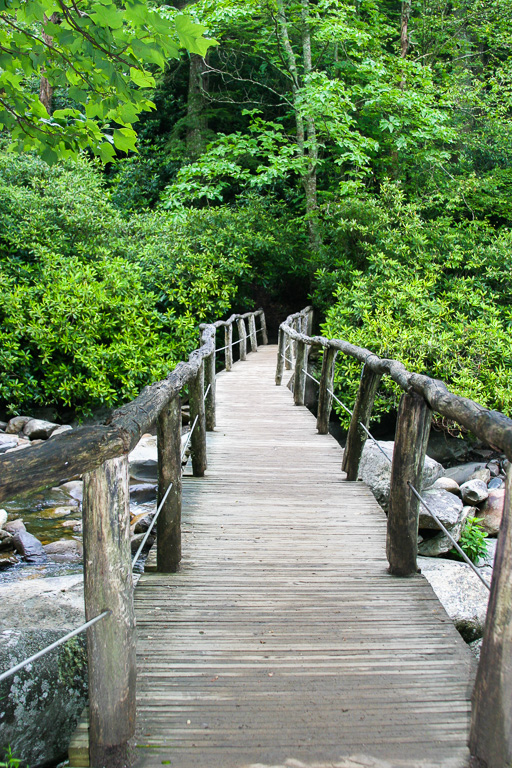 Footbridge - Chimney Tops 2003