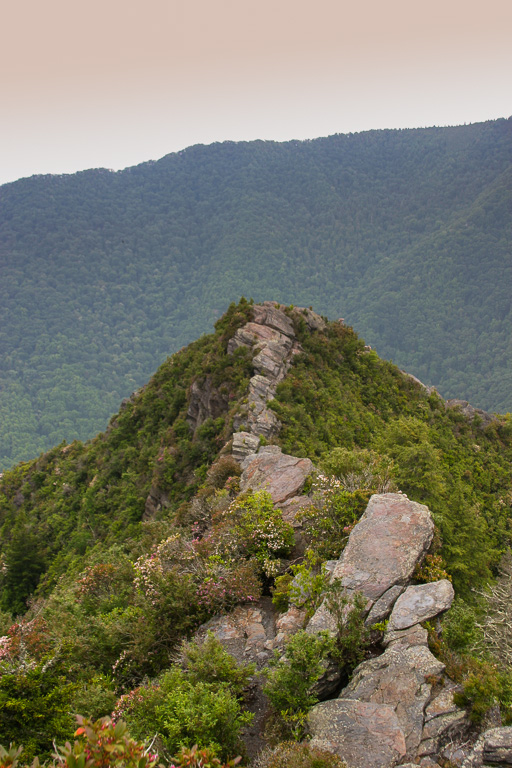 The outcrop - Chimney Tops 2003