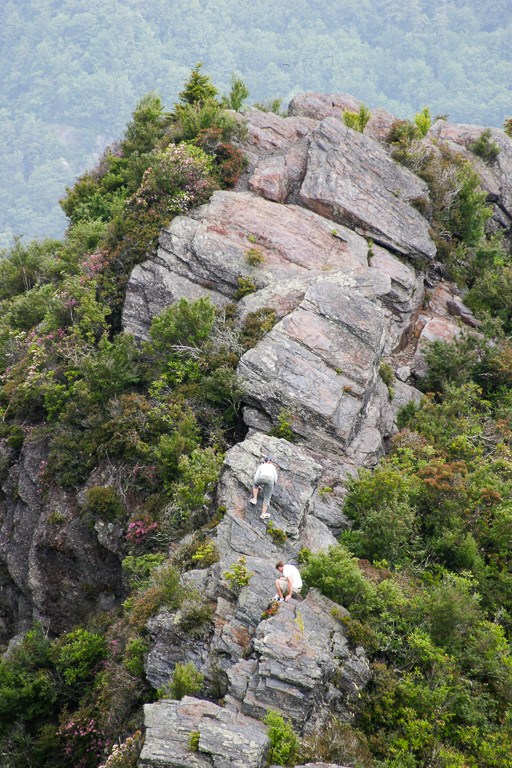 The Berg and Pacer climbing the Tops - Chimney Tops 2003