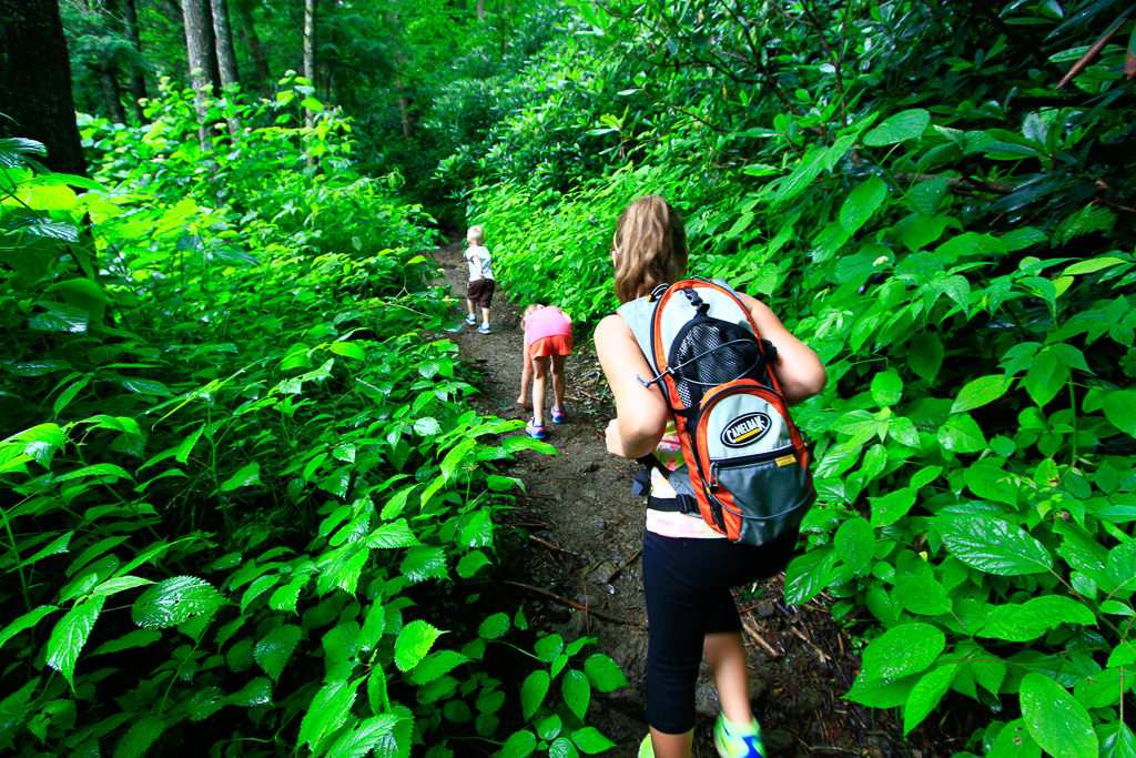 Hiking along - Chimney Tops 2013