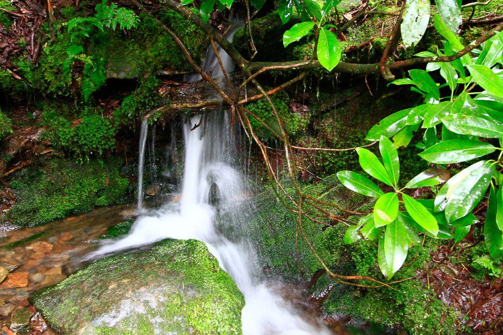 Cascade - Chimney Tops 2013