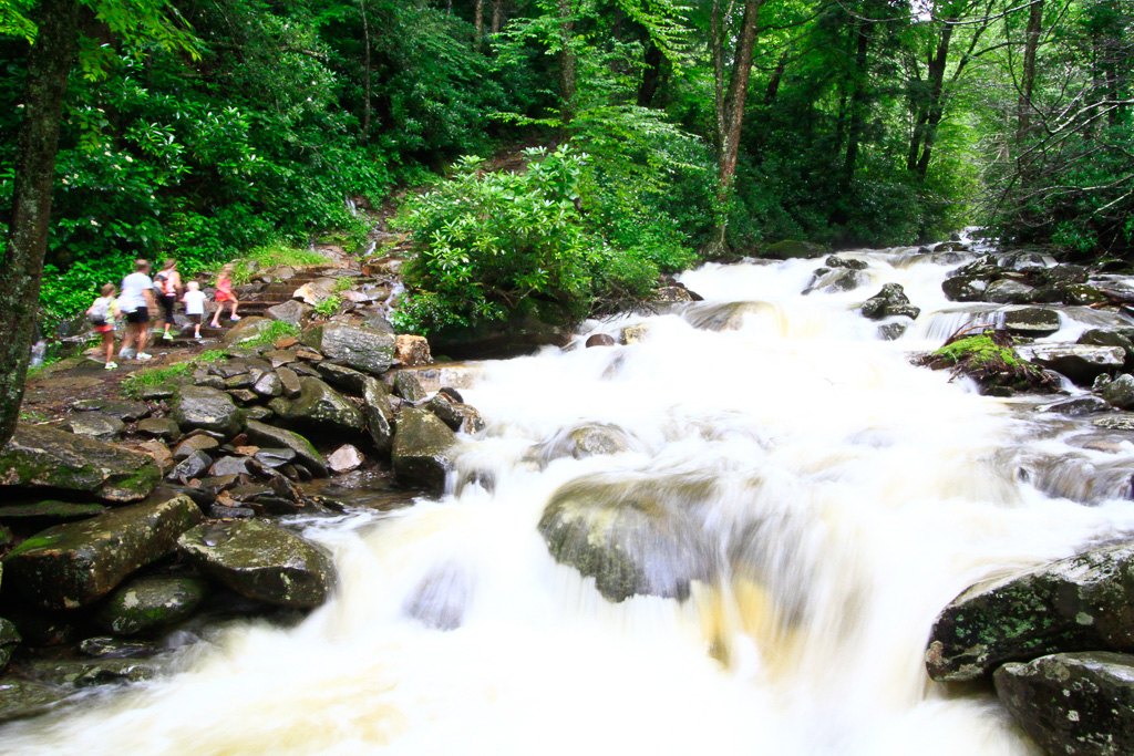 Hiking along the mountain stream - Chimney Tops 2013