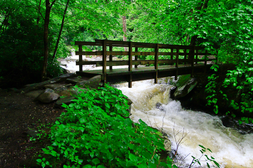 Footbridge - Chimney Tops 2013