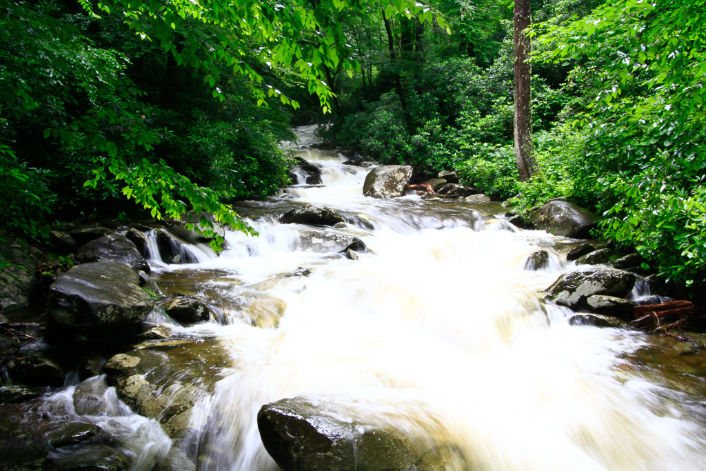 Road Prong Creek - Chimney Tops 2013