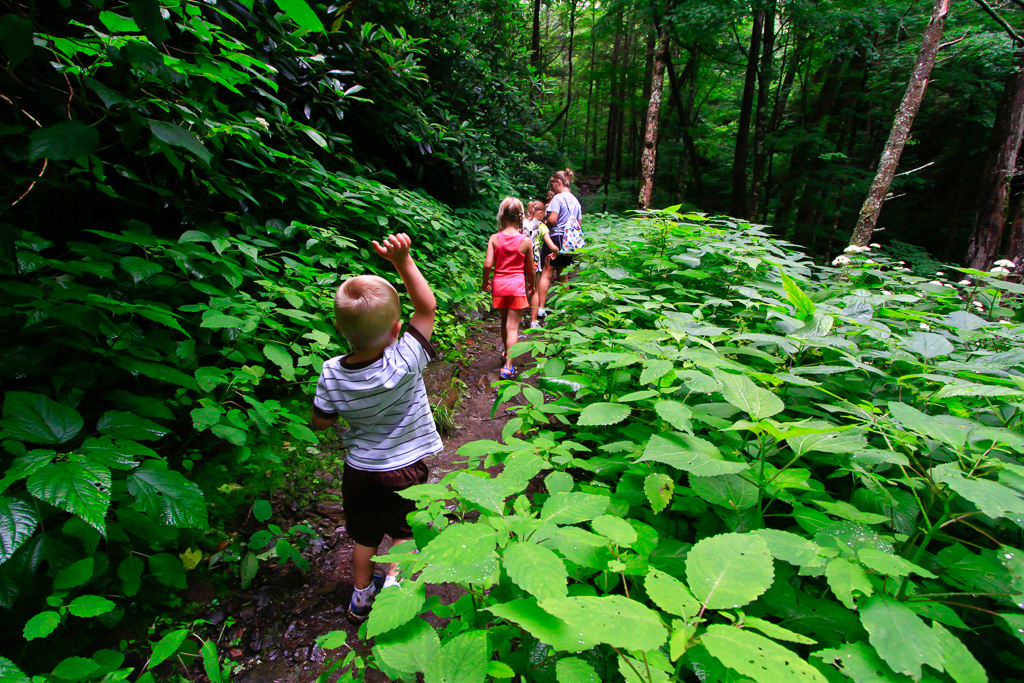 Hiking through vegetation - Chimney Tops 2013