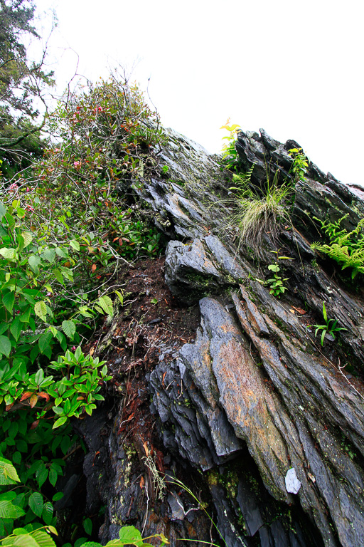 Exposed rock - Chimney Tops 2013