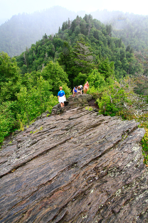 Looking down - Chimney Tops 2013