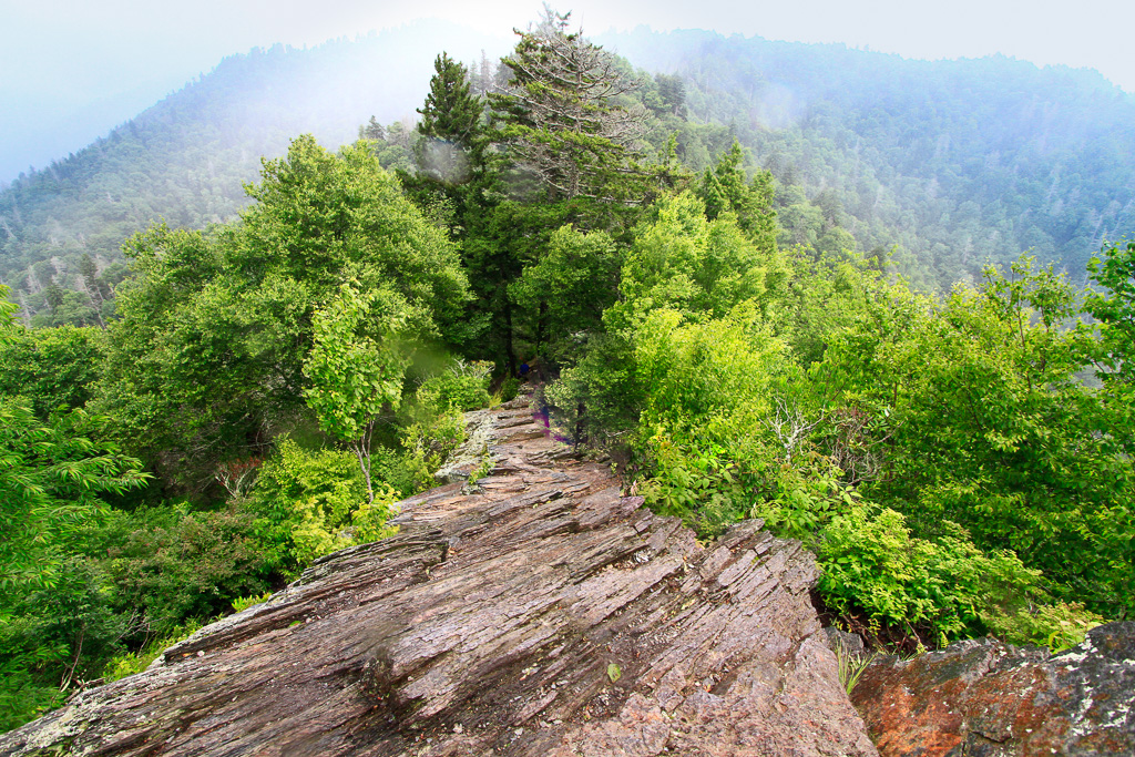 View from the top - Chimney Tops 2013