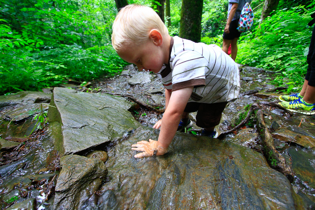 Cam - Chimney Tops 2013