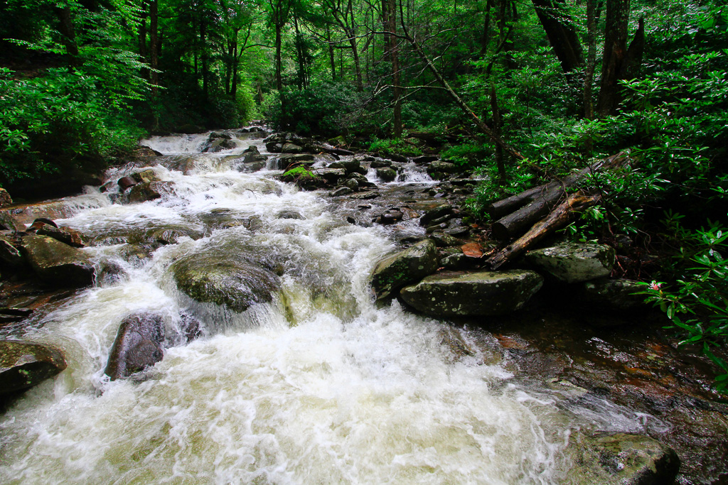 Cascades of Road Prong Creek - Chimney Tops 2013