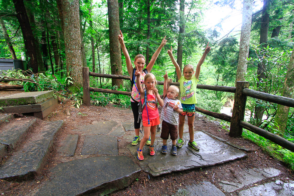 Success! - Chimney Tops 2013