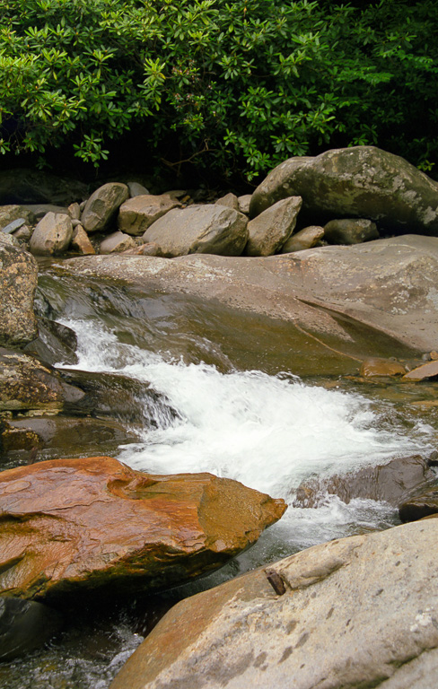 Mountain stream - Chimney Tops 2013