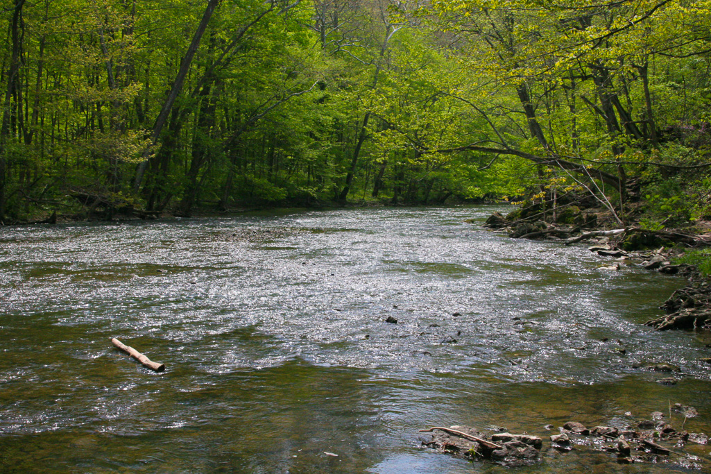 Scenic Little Miami River - Clifton Gorge May 2005