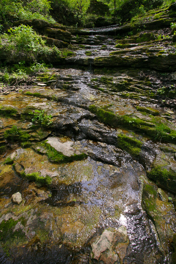 Seasonal stream - Clifton Gorge May 2005