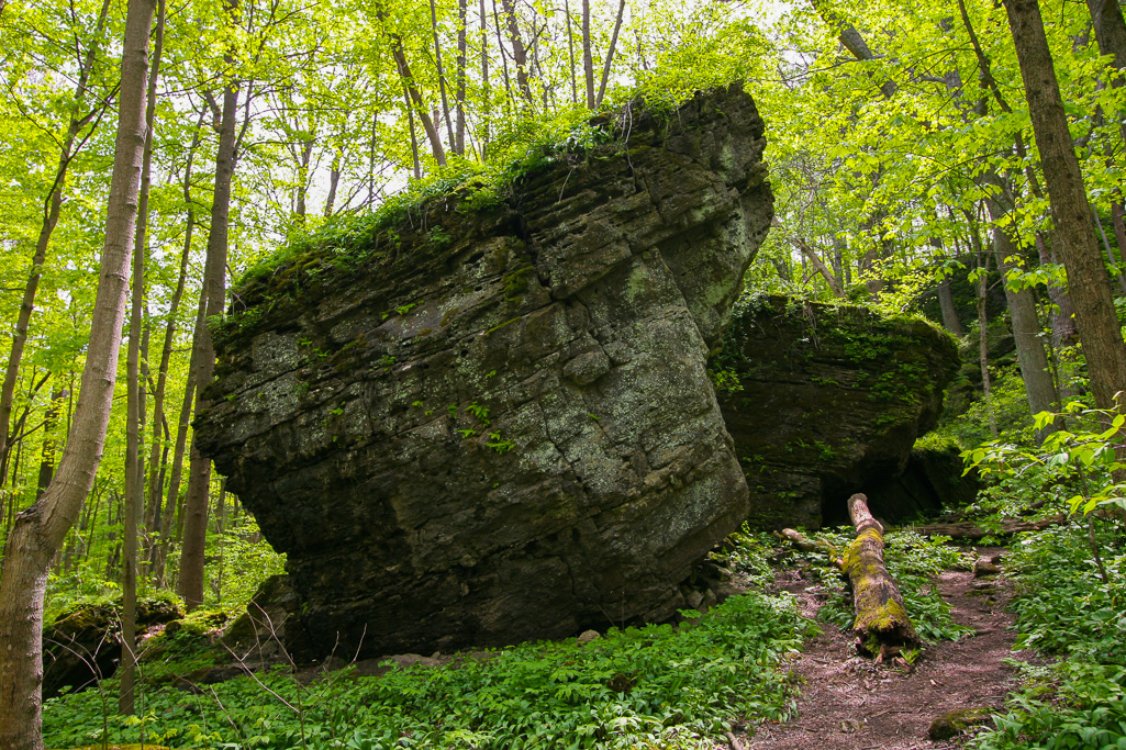 Slump block - Clifton Gorge May 2005