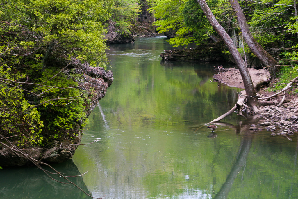 The Blue Hole - Clifton Gorge May 2005