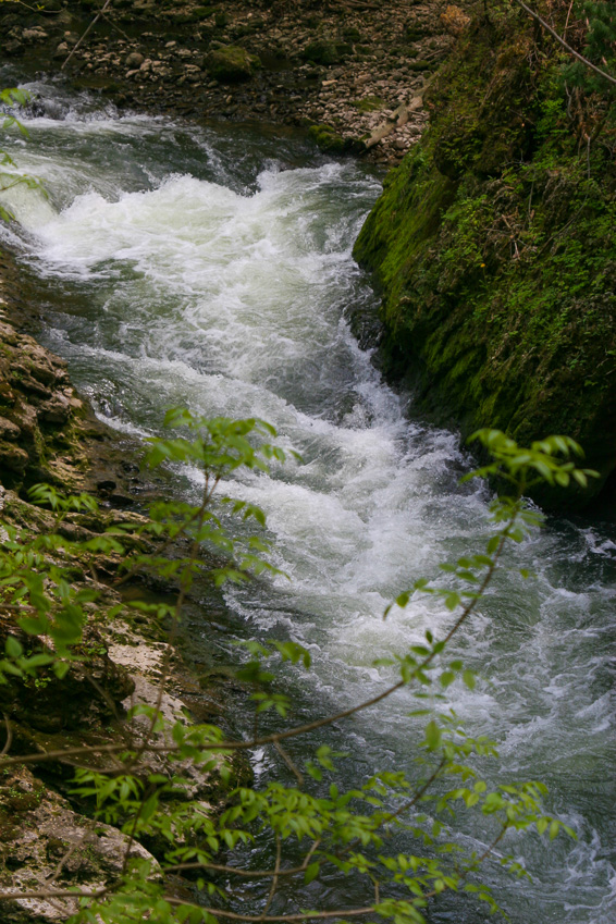 Rapids - Clifton Gorge May 2005