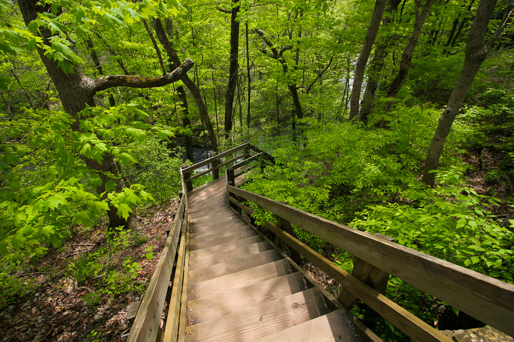 Boardwalk - Clifton Gorge May 2005