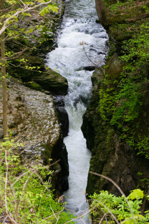 The cataract - Clifton Gorge May 2005
