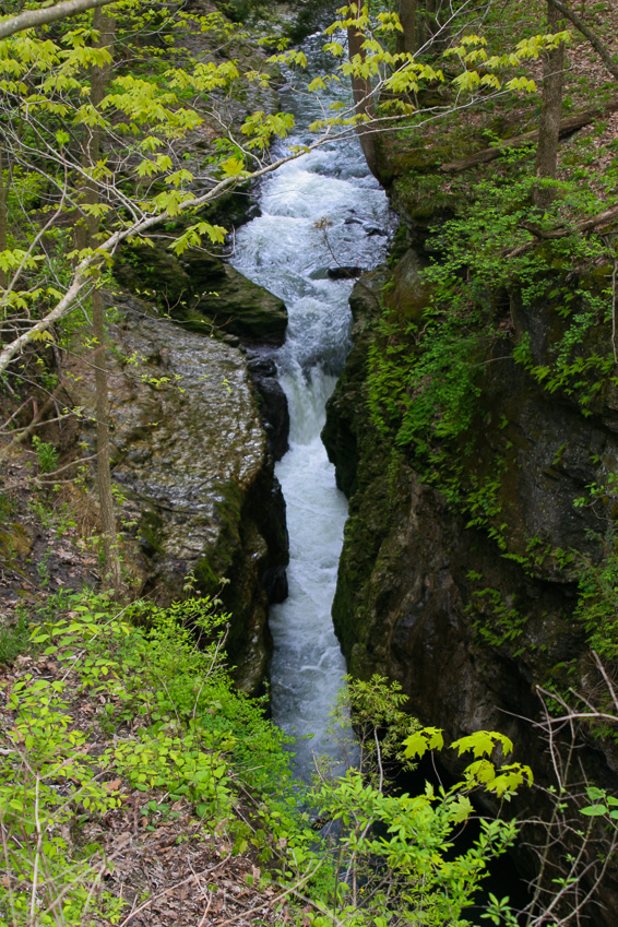 Cataract view - Clifton Gorge May 2005