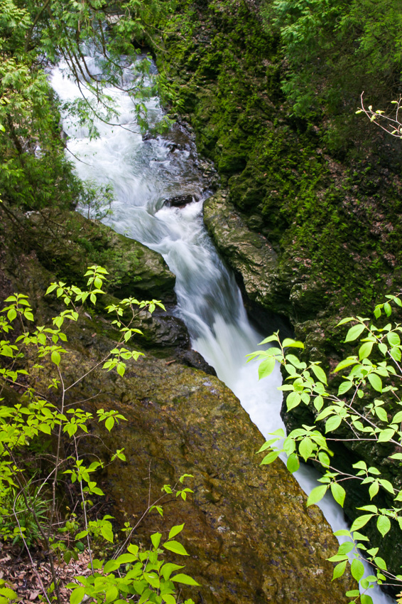 Narrow Gorge - Clifton Gorge May 2005