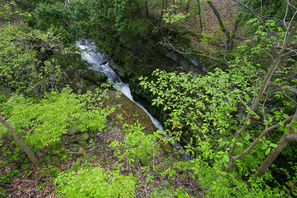 Cataract from Narrows Trail - Clifton Gorge May 2005