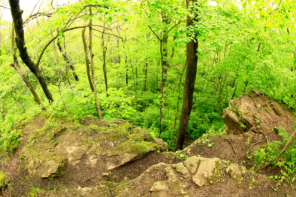 Above the gorge - Clifton Gorge May 2013