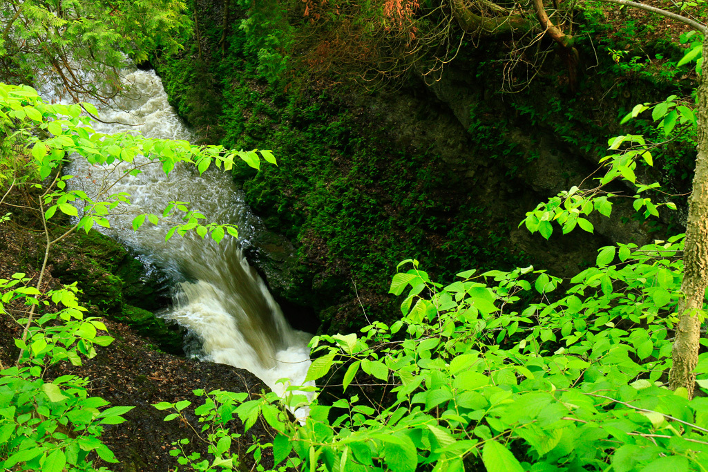 Cataract - Clifton Gorge May 2013