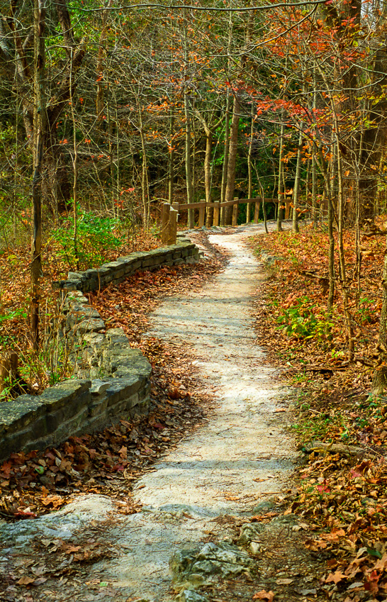 Narrows Trail - Clifton Gorge October 2001