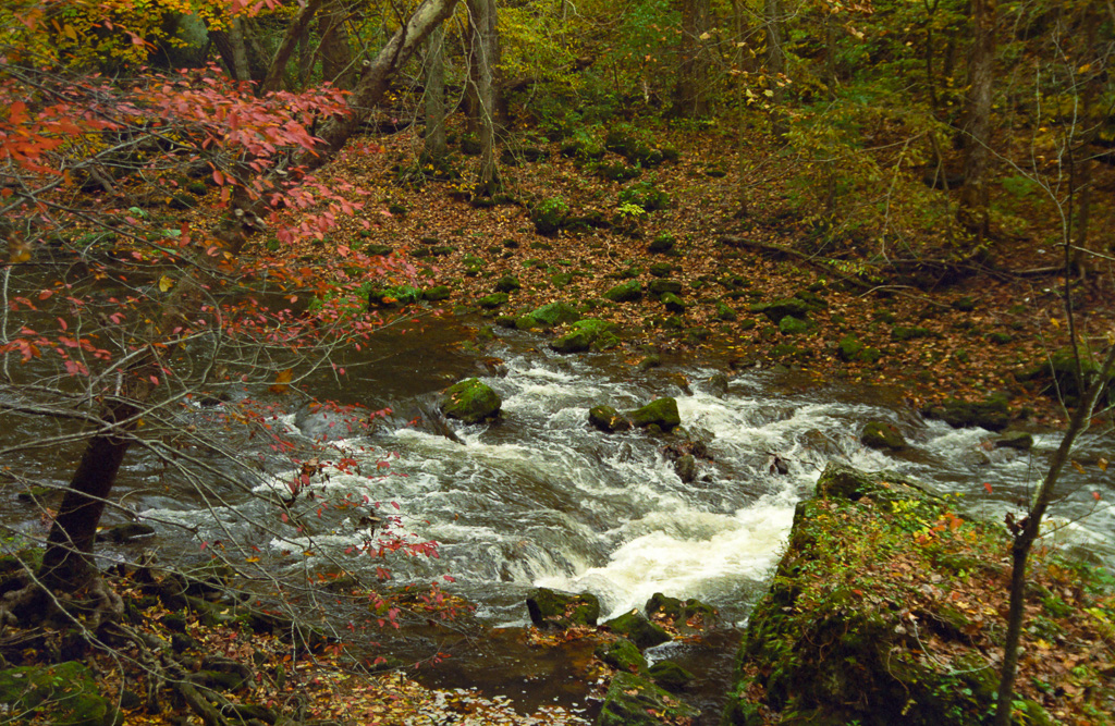 Rapids - Clifton Gorge October 2001