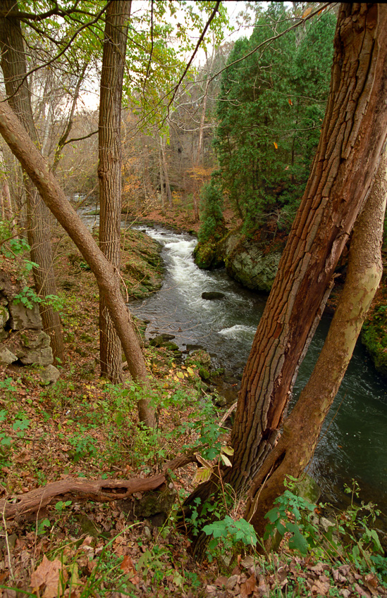 The river begins to narrowv